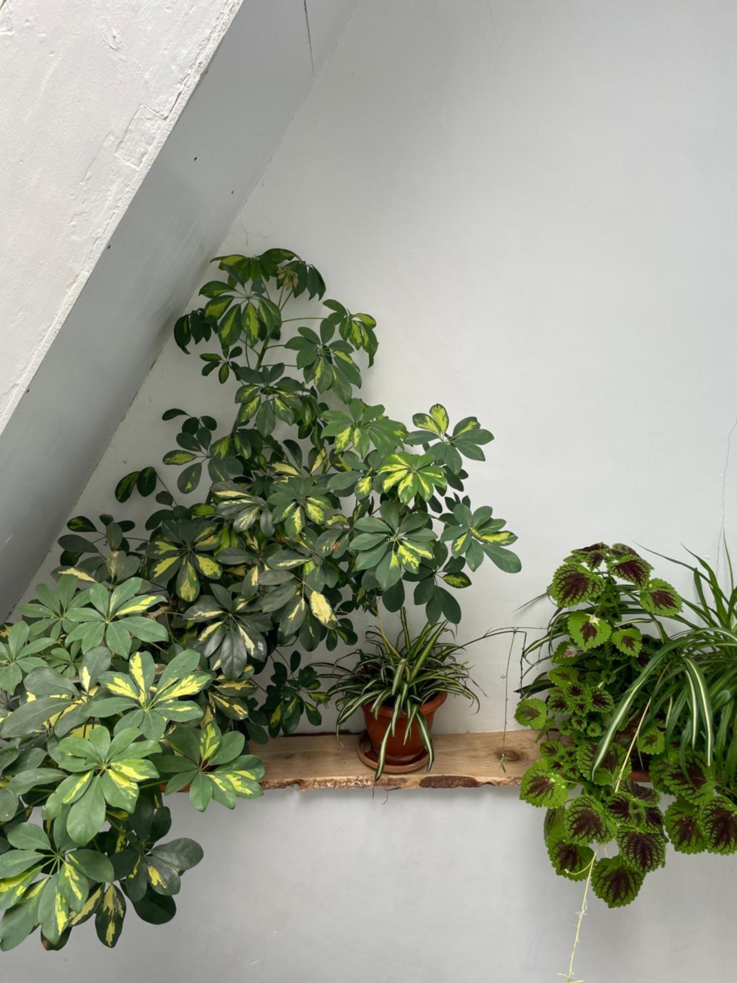 Apartmán Charito 18 Cádiz Exteriér fotografie