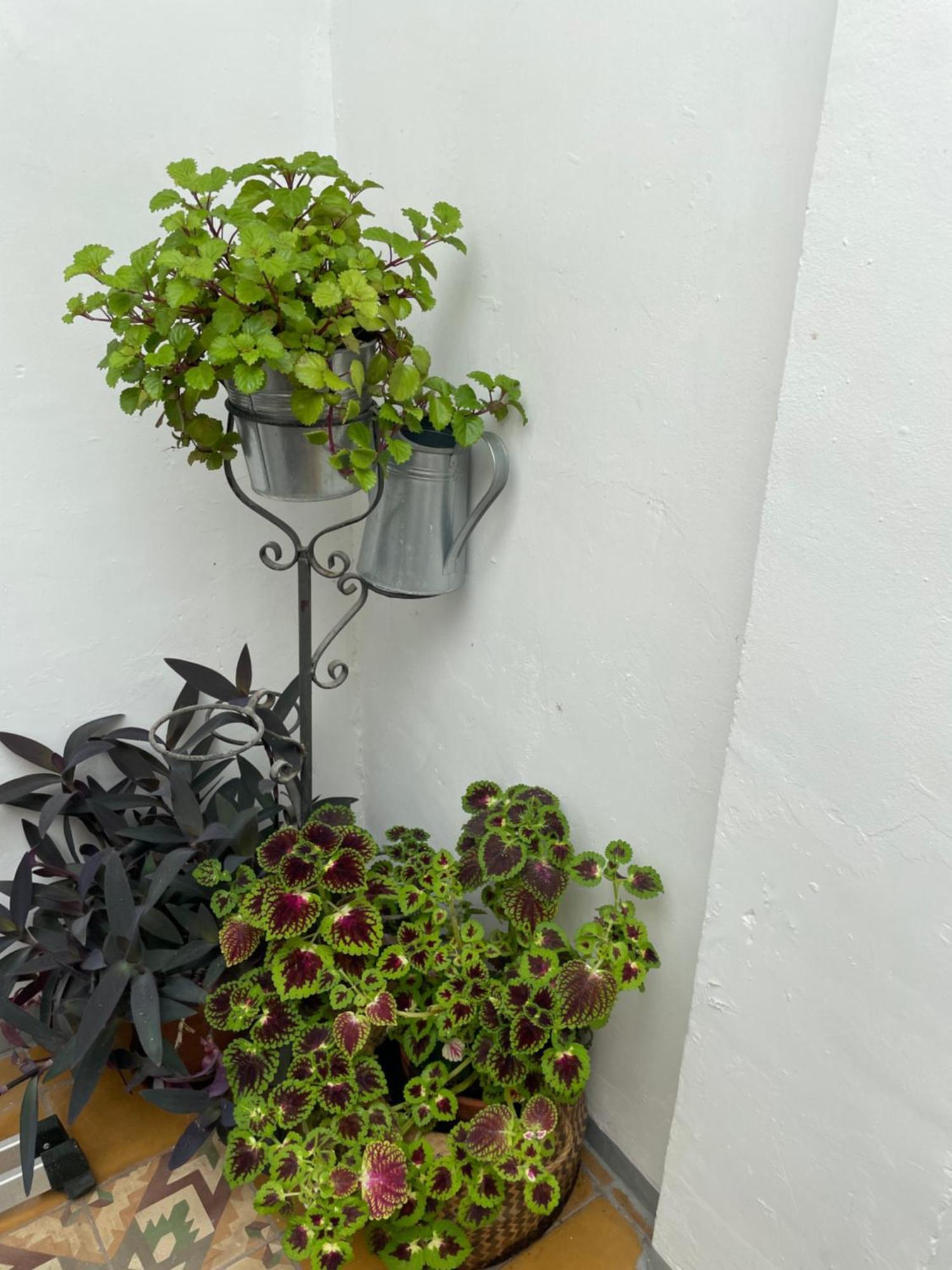 Apartmán Charito 18 Cádiz Exteriér fotografie